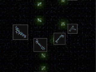 Biomolecular Foundation Models for Discovery in Life Science